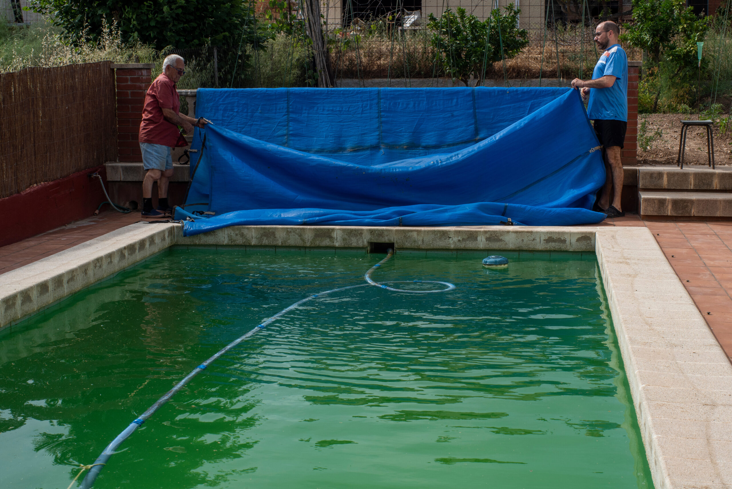 Meade Pool West Meade TN Pool Builder - Legacy Pools Nashville